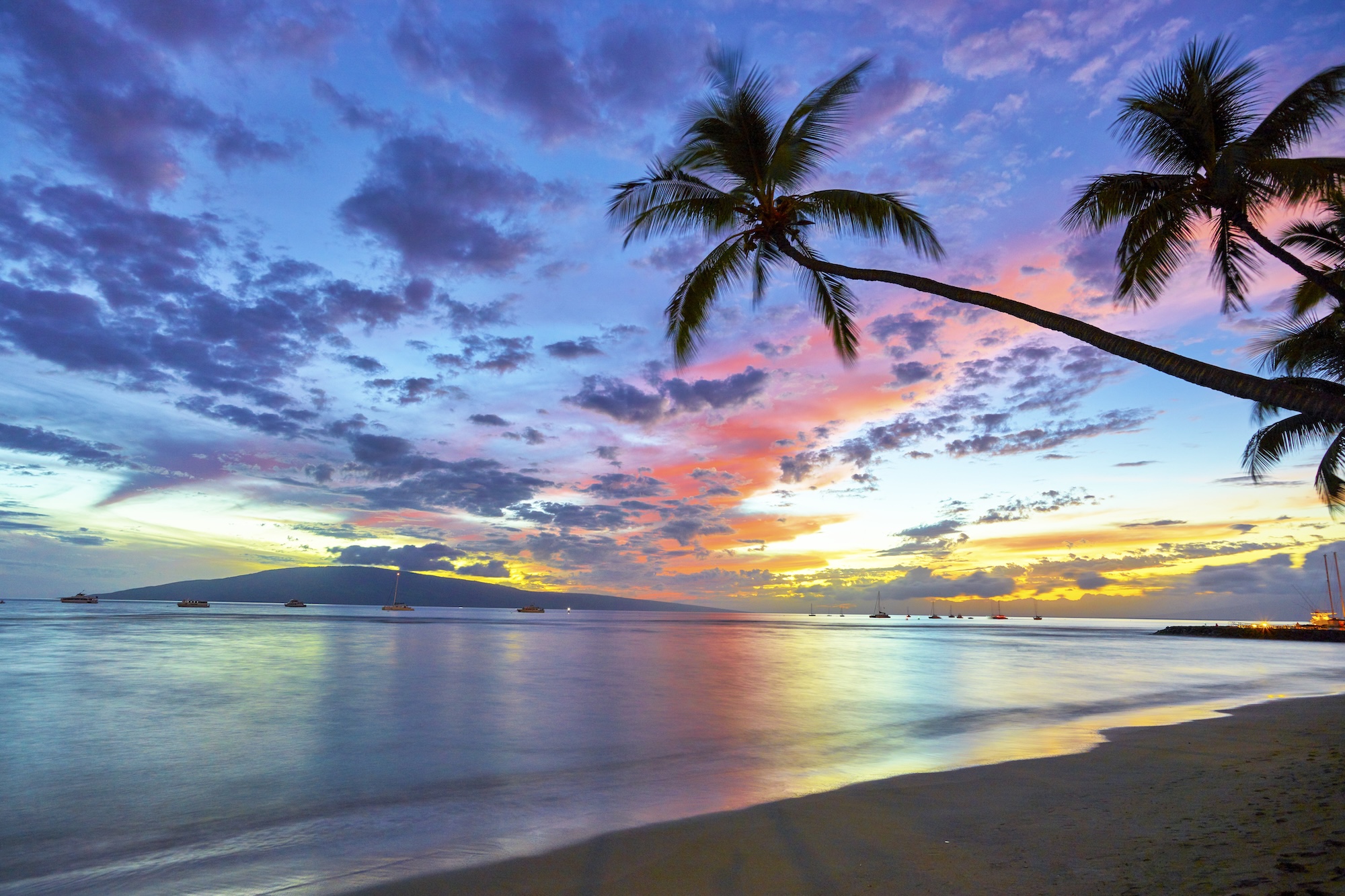 LAHAINA RAINBOW REEF